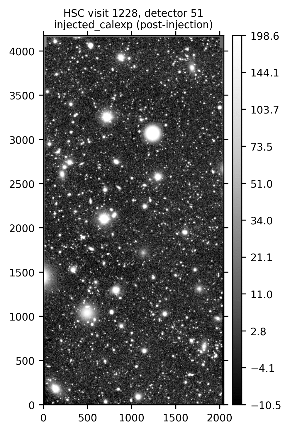 HSC visit 1228, detector 51, showcasing the injection of a series of synthetic Sérsic sources.